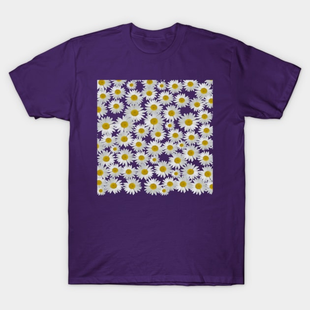 Daisies T-Shirt by AHelene